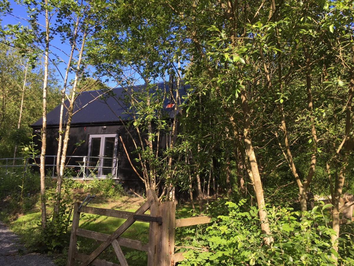Alder Cabin Kilkenny Exterior photo