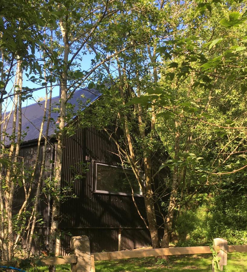 Alder Cabin Kilkenny Exterior photo